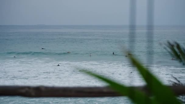 Surf Oceánico Surfistas Lejos Esperando Olas Agua Vista Través Plantas — Vídeo de stock