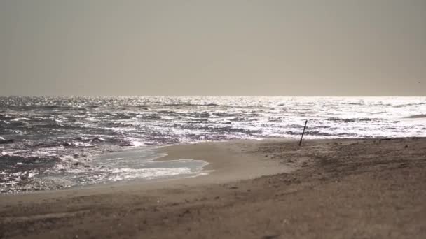 Κύματα Νερού Πέφτουν Στην Αμμώδη Ακτή Ηλιόλουστο Καιρό Άποψη Της — Αρχείο Βίντεο