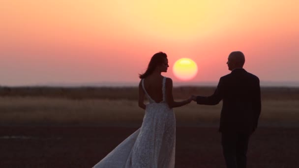 Casal Recém Casado Mãos Dadas Indo Para Grande Sol Vermelho — Vídeo de Stock
