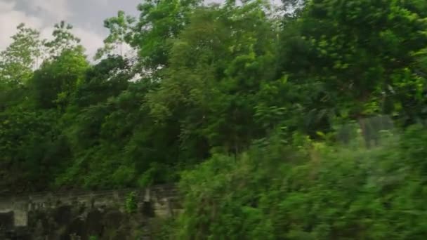 Вид Вікно Автомобіля Зеленого Лісу Скелясті Пагорби Сонячними Спалахами Через — стокове відео