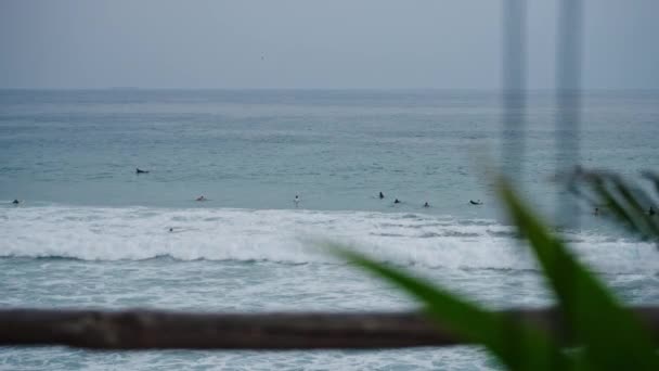 Lautan Surfing Peselancar Jauh Menunggu Gelombang Air Melihat Melalui Tanaman — Stok Video
