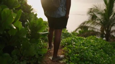 Yaşlı siyah adam tepedeki turistik yerden hayran olunan manzarayı görmek için egzotik bitkilere, çiçeklere ve palmiye ağaçlarına gidiyor. Gri saçlı yaşlı turist adanın okyanus manzarasının tadını çıkarıyor.