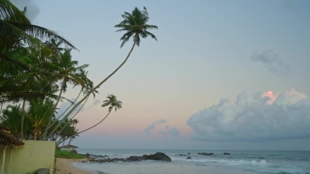Oceánská Krajina Malými Pěnovými Vlnami Tropickém Letovisku Písečnou Pláží Kokosovými — Stock video