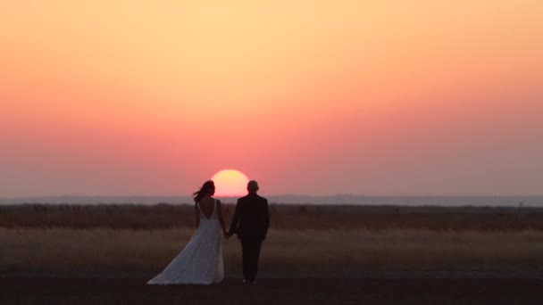 Bride Groom Holding Hands Going Big Red Sun Nature Location — Stock Video