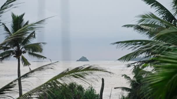 Prachtig Uitzicht Oceaankust Met Palmbomen Het Paradijselijke Eiland Tropische Planten — Stockvideo