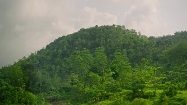 Raamzicht Langs Auto Elektriciteitsleidingen Transmitietorens Groen Regenwoud Jungle Landelijk Gebied — Stockvideo