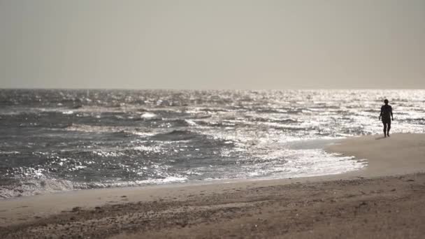 海浪冲击着沙滩上的海岸线 阳光灿烂的天气 看没有人的海岸线 夏日落日的海上冲浪 空荡荡的秋天海滩风景 在海滨度假时放松一下 — 图库视频影像