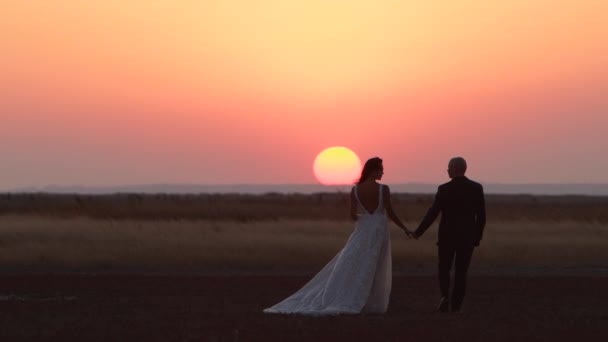 Yeni Evli Çift Ele Tutuşuyor Yaz Günbatımında Büyük Kırmızı Güneşe — Stok video