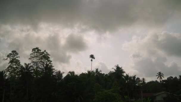 Auto Seitenfenster Blick Auf Launisch Bewölkten Himmel Über Grünen Kokospalmen — Stockvideo