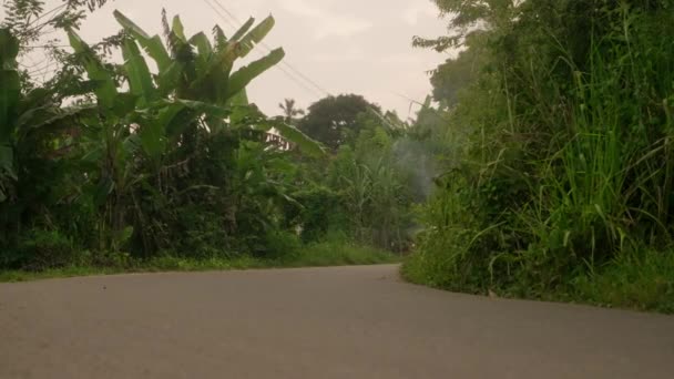 カップルはジャングルロードでバイクに乗って通過します 2人は熱帯地方で自転車を運転する 夜にバイクで恋に落ちた女性 スクーター 日没で旅行する幸せな観光客 — ストック動画