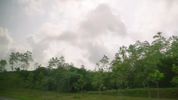 Боковое Стекло Автомобиля Вид Мрачное Облачное Небо Над Зелеными Кокосовыми — стоковое видео