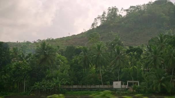 Вид Зеленый Кокосовый Пальмовый Лес Посадка Рисовой Террасе Поезд Дорожный — стоковое видео