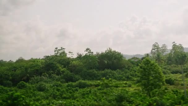 Vista Lateral Janela Carro Floresta Coqueiro Verde Plantação Arroz Terraço — Vídeo de Stock