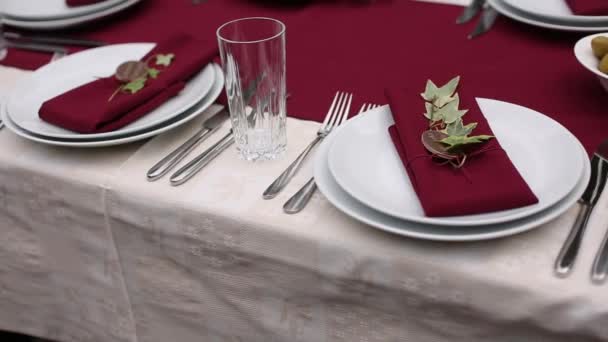 レッドナプキン ホワイトプレート アイビーデコレーション 結婚式のための洗練された食事のセットアップ ホリデーイベントのデザインにおける銀の宴会のトレンドで優雅なテーブル設定 — ストック動画
