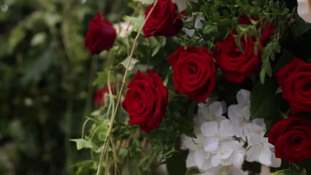お祝いのための豪華な花の配置 エレガントな赤いバラとホワイトハイドレンジは結婚式場を飾っています 細部はカップルの特別な日のために完全なロマンチックな装飾のテーマを示します — ストック動画