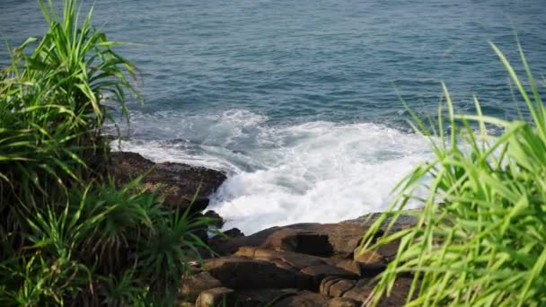 滨海风景展现出自然的力量 海滨的宁静 泡沫的大海与陆地的相互作用 汹涌的海浪冲击着绿树成荫的岩石海岸 — 图库视频影像