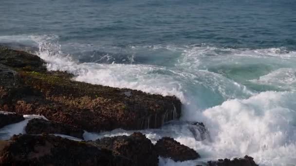 Paisaje Costero Con Mareas Espumosas Pantalla Energía Marina Las Crecientes — Vídeo de stock