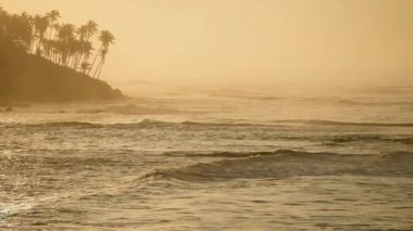Huzurlu Sri Lanka sahnesi, seyahat, doğa, meditasyon arka planı, sabah ışığında tropikal ortam. Gün doğumu Coconut Hill, Mirissa 'yı aydınlatır, dalgalar kıyı şeridini, palmiyeler gökyüzünü aydınlatır.