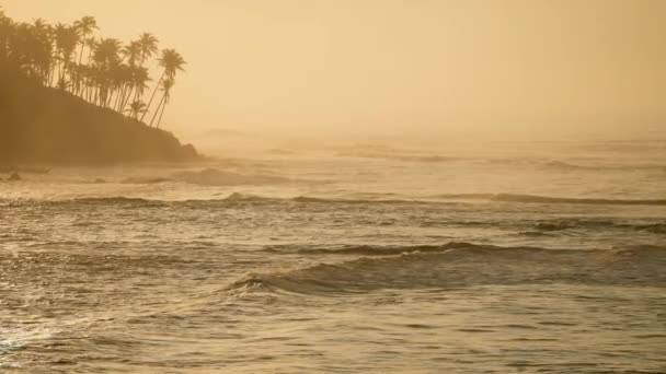 宁静的斯里兰卡海岸风景 冥想背景 晨光中的热带氛围 日出照亮了椰子山 米莉莎 波浪环绕海岸线 棕榈轮廓映衬着天空 — 图库视频影像