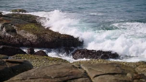 Ψεκάστε Μύγες Surf Αλληλεπιδρά Τοπίο Συνετρίβη Κύματα Κύμα Πάνω Από — Αρχείο Βίντεο