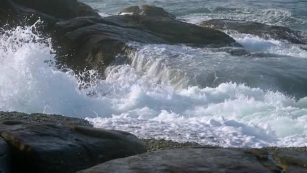 Dynamische Meereslandschaft Die Die Kraft Der Elemente Der Natur Meer — Stockvideo