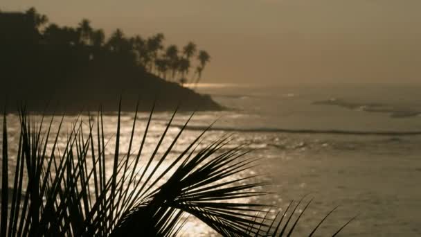 棕榈轮廓的前景金色的大海闪耀 捕捉热带天堂的精华 受欢迎的旅行 自然摄影 在斯里兰卡的Coconut Hill 日出在波浪中闪耀 — 图库视频影像