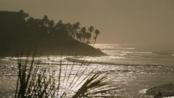 Wellen Streicheln Die Küste Unter Goldenem Himmel Silhouettiertes Laub Steht — Stockvideo