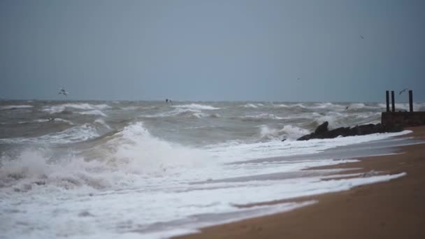 Zeevogels Navigeren Door Hevige Winden Boven Turbulente Zee Buurt Van — Stockvideo