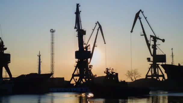 Een Industriële Zeeterminal Met Laadkranen Containerwagons Grote Kranen Haven Landskraan — Stockvideo