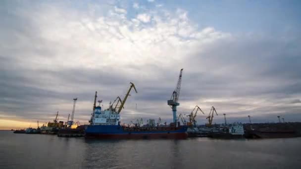 Een Industriële Zeeterminal Met Laadkranen Containerwagons Bij Zonsondergang Grote Kranen — Stockvideo