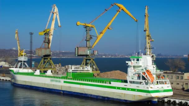 Containerkran Aktivitäten Maritimer Handel Zeitraffer Der Beladung Von Frachtschiffen Belebten — Stockvideo