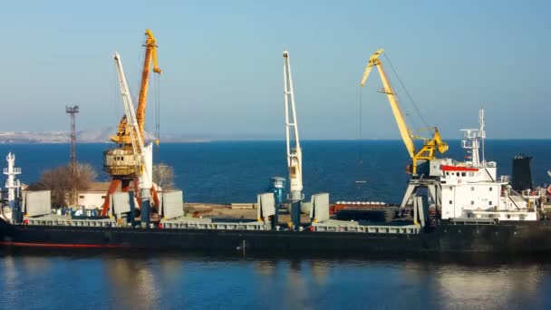 Kargo Gemisiyle Yoğun Liman Operasyonlarını Zamanlayın Vinçler Temiz Gökyüzü Altında — Stok video