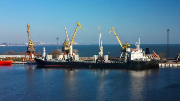 Containerschip Bereidt Zich Voor Logistieke Operaties Onder Heldere Hemel Timelapse — Stockvideo