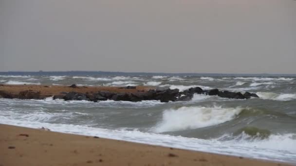 Kıyı Bölgesinde Fırtınalı Bir Hava Ham Deniz Teması Dalgalı Deniz — Stok video