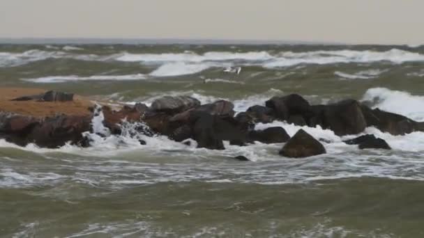 シーガルは乱気流の海の上のゲールの間に飛ぶ 嵐の海の波は曇りの空の下の沿岸の岩に衝突する 自然災害 沿岸浸食 劇的な天候 海洋のシーン — ストック動画