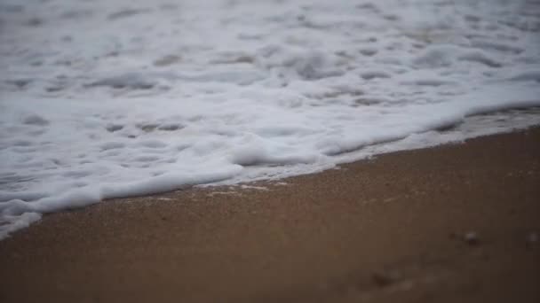 Kıyı Fırtınası Dalgalanması Videosu Iklim Hava Raporları Için Ideal Dalgalar — Stok video
