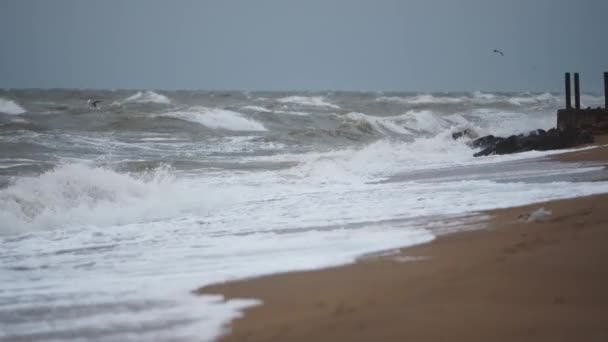 Pobřežní Eroze Dopad Změny Klimatu Dok Přírodních Katastrofách Kinematografické Pozadí — Stock video