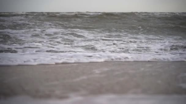 Dynamic Ocean Scenery Natural Light Foamy Waves Crash Sandy Shore — Stock Video