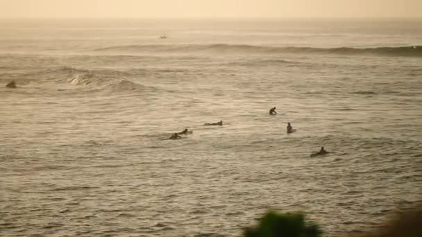 Avonturiers Surfen Watersport Beoefenen Surfers Peddelen Oceaangolven Het Gouden Uur — Stockvideo