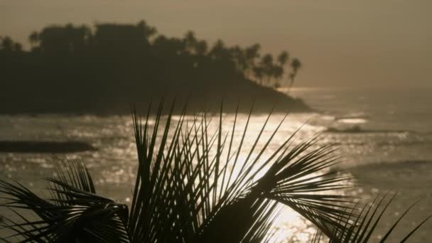 Silhouetted Palm Leaves Frame Serene Ocean Dusk Waves Gently Caress — Stock Video