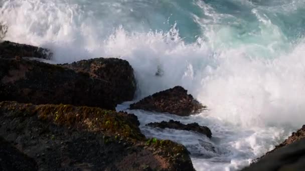 Die Gischt Der Ozeane Bildet Nebel Moosige Steine Krachende Wellen — Stockvideo
