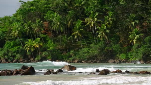 Weelderig Groen Omzoomt Het Water Biedt Serene Tropische Ontsnapping Surfers — Stockvideo