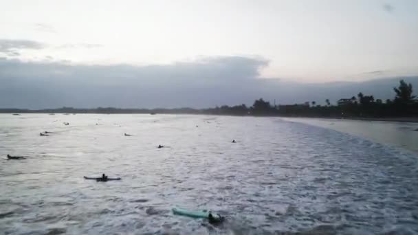Watersporters Verzamelen Zich Bij Tropische Zeegezichten Voor Surfavontuur Schemering Luchtfoto — Stockvideo