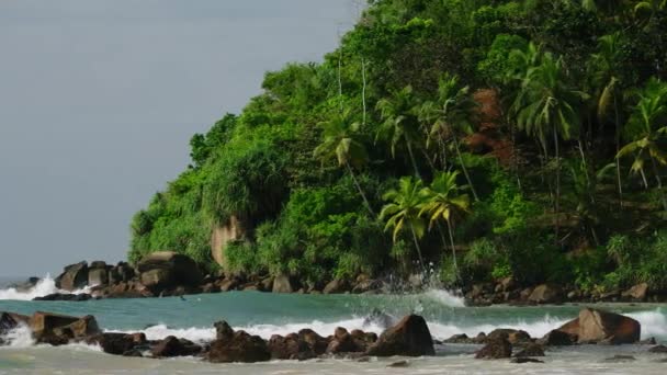 热带海岸线探险运动茂密的树叶冲浪者在斯里兰卡米里萨湖的海浪中航行 游客们冲浪 享受温暖的水 美丽的自然景观 积极度假 生态旅游景点 — 图库视频影像