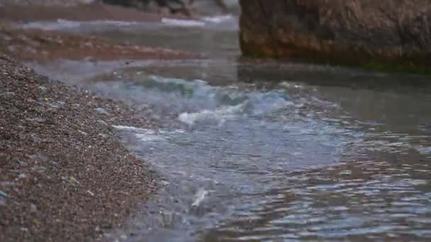 海にトリックルをストリーミングし セリーンリップ効果を生み出します 優しい波は小石のビーチを洗い流し 静かな自然のシーンで岩のまわりに水が流れます 自然なAsmr 平和な周囲 沿岸の静けさ — ストック動画