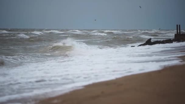 Bouře Naráží Bariéru Eroze Pláže Choppy Vlny Havárie Písečném Břehu — Stock video