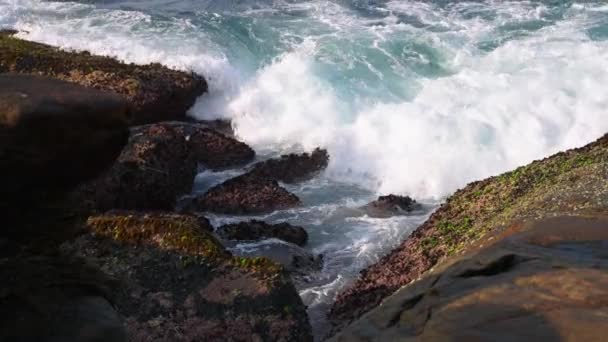 ダイナミックな海の波が海岸線に影響を与える自然のシーンの力 頑丈な岩と波が衝突し 海の噴霧が上昇する 沿岸の風景は自然のテーマに理想的な力 自然の美しさを示しています — ストック動画