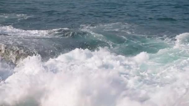 고화질로 해안선에 해양력 주위에 스프레이는 햇빛을 자연적인 익지않는 조용한 Hues — 비디오