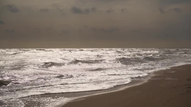 旅行のテーマに最適な野生の自然な海岸シーン 嵐の海の波は 空に覆われた砂浜に衝突する 荒涼とした気象条件下で海岸線を魅了する — ストック動画