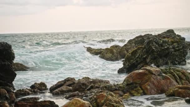 朦胧的人观察大海 凝视着大自然 在汹涌的水边凝视着片刻 海浪冲击着岩石海岸 浪花在空气中喷涌 海岸上一片繁茂的海景 宁静的自然景观 — 图库视频影像